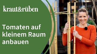 Tomaten pflanzen auf kleinem Raum | Rankhilfe selber bauen