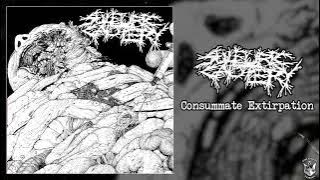 Sulfuric Cautery - Consummate Extirpation [SINGLE] (2025 - Brutal Death Metal / Deathgrind)