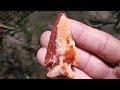 Arrowhead Hunting~"OMG" Color From The Honey Hole