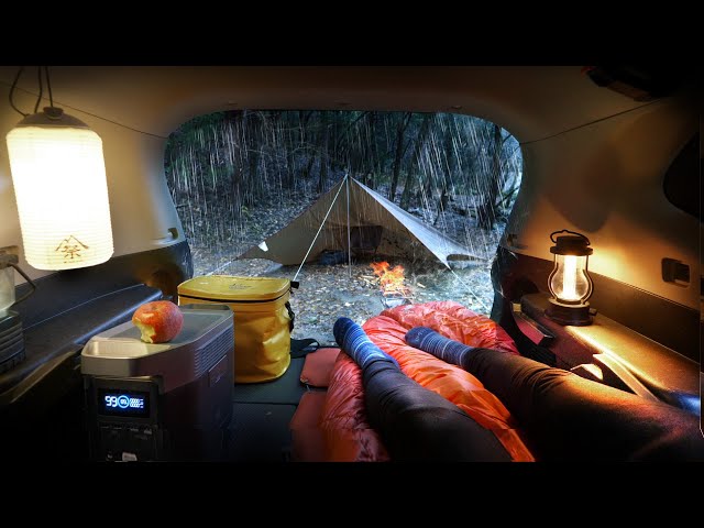 【孤独の車中泊】仕事帰り。家に帰らず、雨の森でキャンプ車中泊。