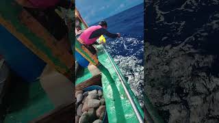 nka dalawa na tayo #viralvideo #fayzfishingadventure #youtubeshorts #bigeyetuna #handfish