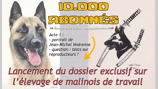 Dossier exclusif élevage malinois  Acte 1 : portrait JMV + tests reproducteurs  10k abonnés