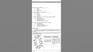 Class 7 English Onam Exam Question paper l First Term Question paper 2024-2025 l kerala syllabus