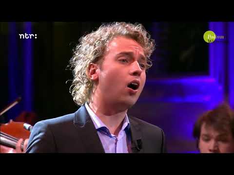 Raoul Steffani &