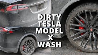 Satisfying DIRTY Tesla Model X Wash!