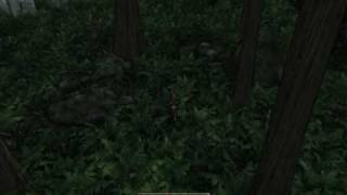 SSAO.avi