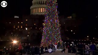 WEB EXTRA: 2021 U.S. Capitol Christmas Tree Lighting