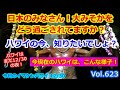 ハワイの今【現在のハワイ夜の様子】イマケンハワイ2020年12月30日＜今日のハワイライブカメラ映像＞バーチャルサイクリング ルイヴィトン シェラトンワイキキ ハイアット カラカウア通り Hawaii