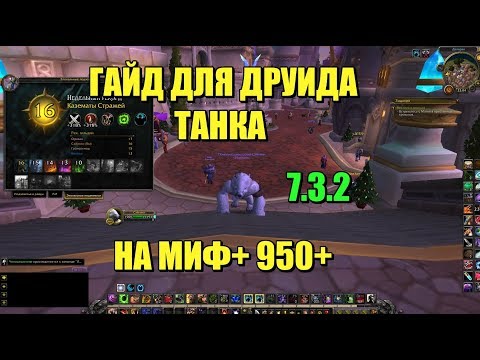 Видео: ГАЙД ДРУИД ТАНК ДЛЯ МИФ + 950+