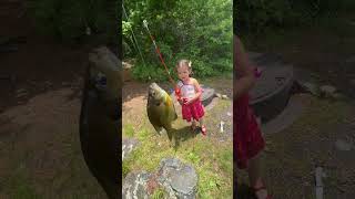 FISHING for BIG BASS outdoor adventures #fishing #bassfishing
