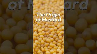 Famous Mustard's Ancient Journey: From Seeds to Sauce! Wealth