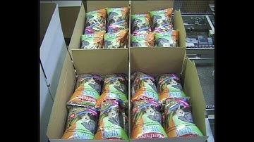 Robot palletizer solution for pet food in bags - VPG