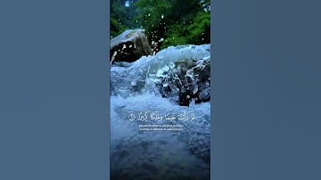 اكتب شي توجر عليه 😴🌿تلاوة خاشعة #تدبر_القرآن #ارح_سمعك #حالات_واتس #لايك #findeaño #راحة_نفسية