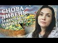 США Влог Наши будни | Чем мы занимаемся в карантин