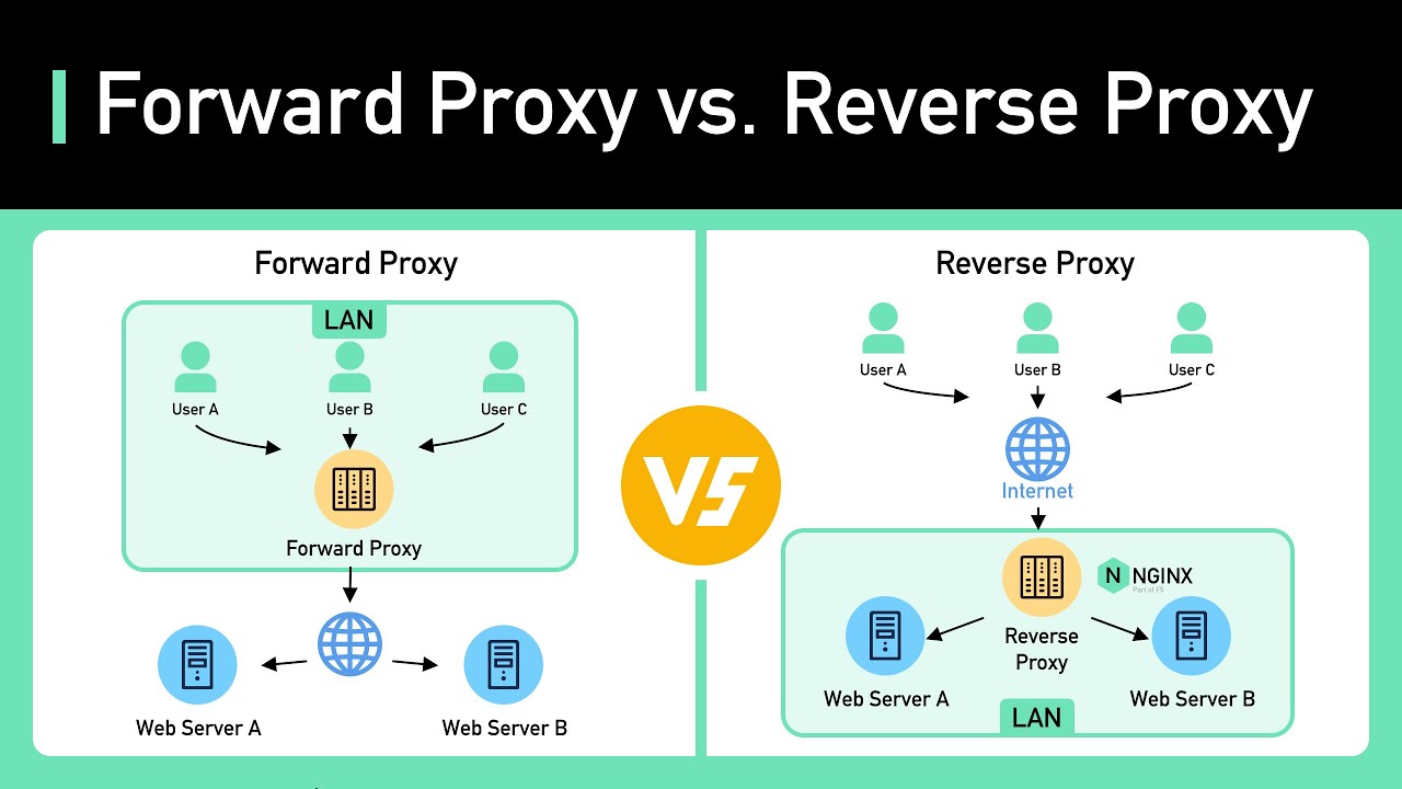 Proxy vs Reverse Proxy (Real-world Examples) 