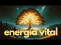 Nueva meditacin guiada para aumentar y recargar  la energa vital