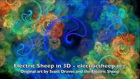 Kansasfest 2019 - Friday Afternoon