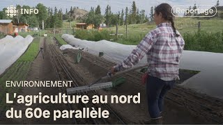 L'agriculture au nord du 60e parallèle | La semaine verte
