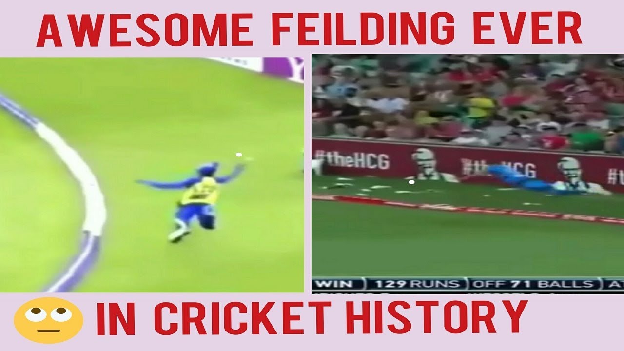 Top 10 Best Unbelievable Fielding Ever in Cricket History - YouTube