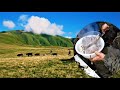 Primitive life of modern shepherds in Caucasus. They cook cheese and meat like ancestors