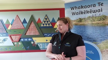 A wetland for Te Waikēkēwai