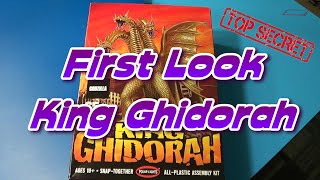 King Ghidorah キングギドラ Model Kit Review - Undisclosed Location screenshot 4
