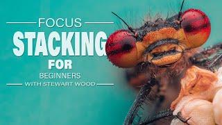 Mastering Macro Photography: Focus Stacking for Beginners screenshot 4