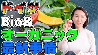 【ドイツスーパー・オーガニック】日本と違うオーガニック商品・Bio事情事情と安価なビオ商品ご紹介