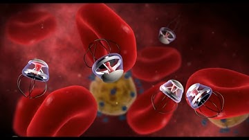 Nanotechnology Small Wonders