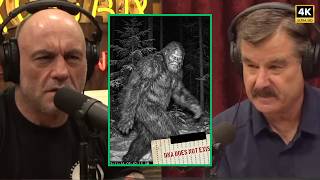 $400,000 Bigfoot DNA Test: Mother's Line Real, Father's Line Impossible | Joe Rogan & David Paulides