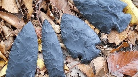 2013 Birdies and Other Knapped Points