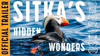Sitka's Hidden Wonders (Official Trailer) | Wildlife Film Experience in Sitka, Alaska