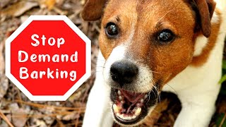 Dog Barks for Attention ~ What You Can Do ~ Stop a Dog from Barking for Attention