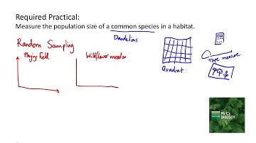 Measuring Population Size: Random Sampling (AQA Biology Required Practical)