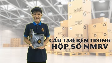 [CHIA SẼ] BÊN TRONG HỘP SỐ NMRV CÓ GÌ?
