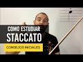 Como Estudiar Staccato en el Violin - TheMulza.com