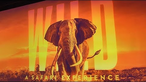 Panasonic Creates Immersive Experiences at Illuminarium