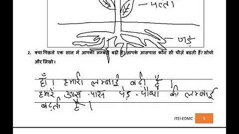EDMC class 4th EVS worksheet week 21