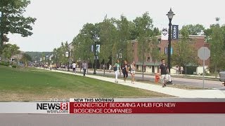 Connecticut becoming a hub for new bioscience companies
