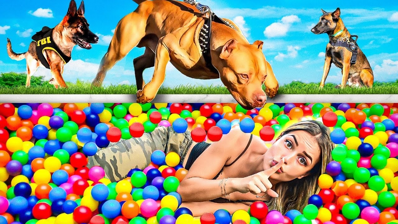 ME ESCONDI NA PISCINA DE BOLINHAS DOS CÃES FAREJADORES !!