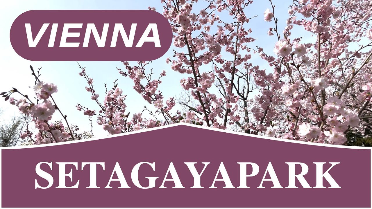 🌸 BLOOMING SETAGAYAPARK  🇦🇹  VIENNA AUSTRIA  - Walking Tour March 2022 - 4K.