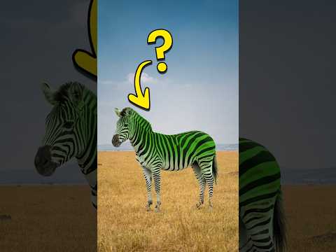 Why are there no green mammals?