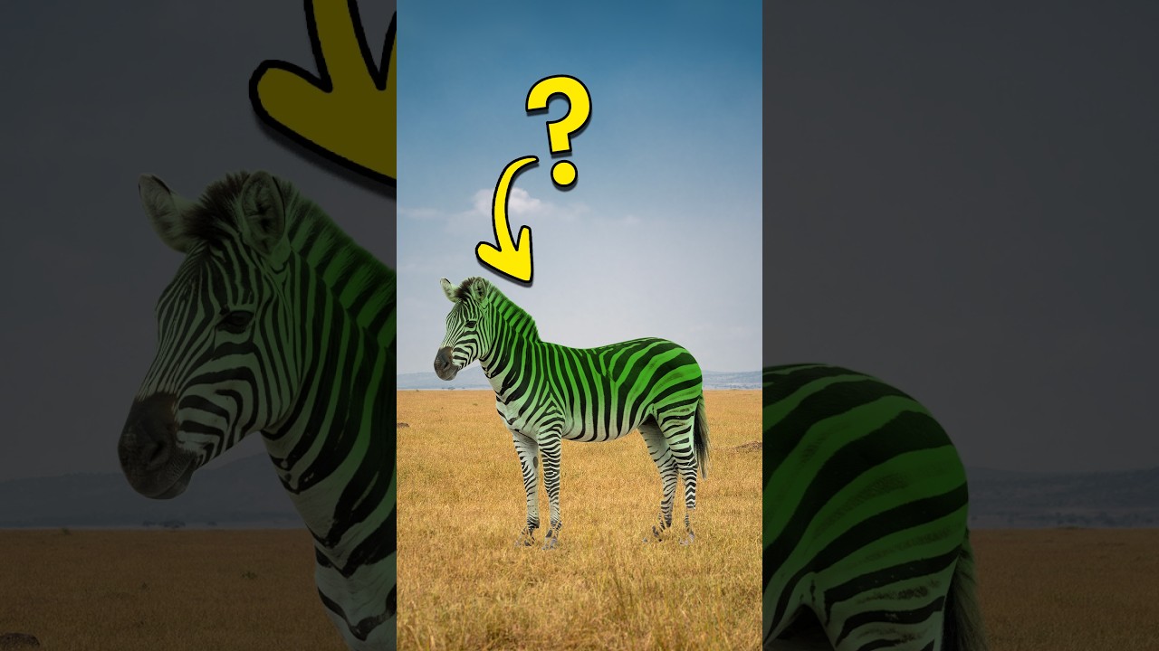 Why are there no green mammals?