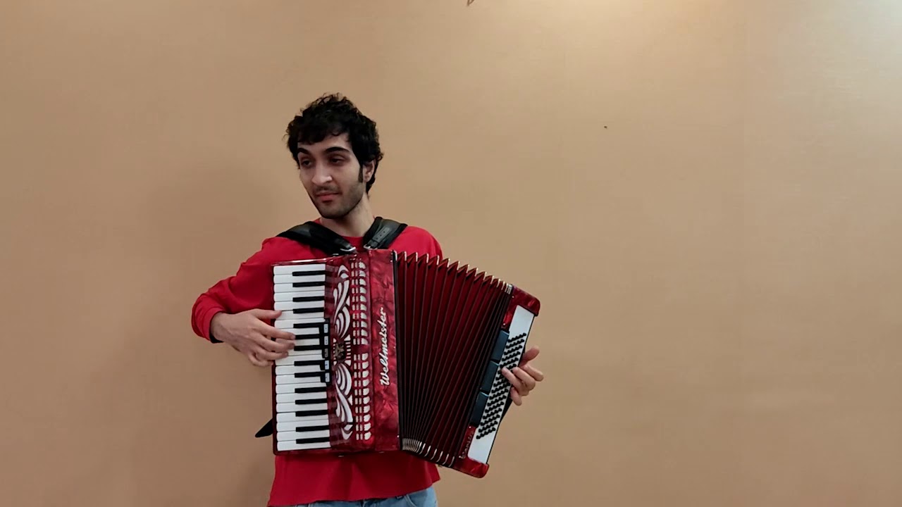 Bubamara Goran Bregovic Black cat,White cat, accordion,Acordeon, Accordeon Akkordeon