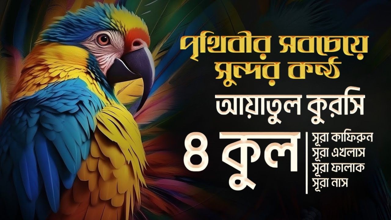 ৪ কুল এবং আয়াতুল কুরসি ┇ 4 Quls & Ayatul Qursi & 4 Surah (Be Heaven) recited by Alaa Aqel