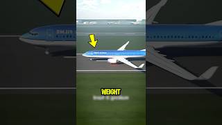 What If Every Penger On A Plane Was Overweight?