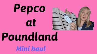 Pepco at Poundland mini haul  over 50, size 12, short!