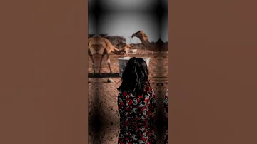 معشوقتي جر القصايد مواويل 