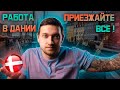 КАК ПЕРЕЕХАТЬ В ДАНИЮ И НАЙТИ РАБОТУ В 2021 ГОДУ