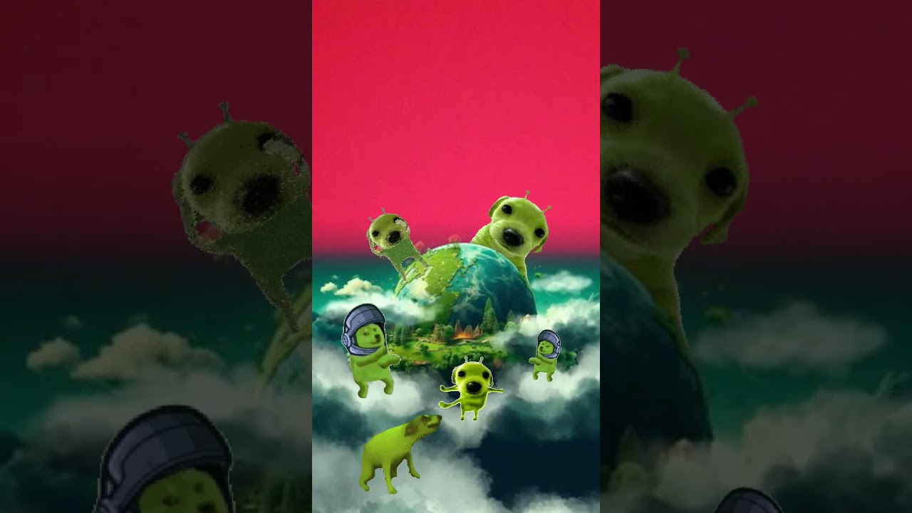 dog funny video 😂😂